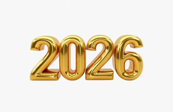 مد و فشن ۲۰۲۶؛ تجربه‌ای نو از استایل مدرن در همیلاسنتر